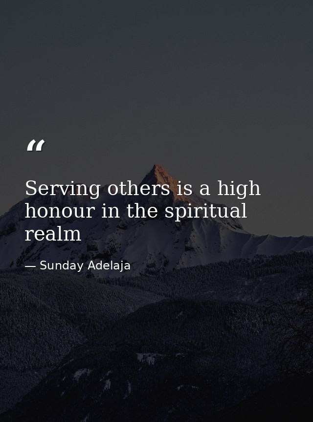 Serving others is a high honour in the spiritual realm — Sunday Adelaja