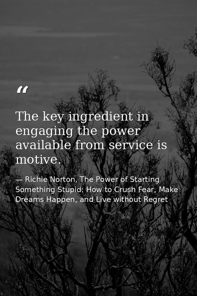 The key ingredient in engaging the power available from service is motive. — Richie Norton, The Power of Starting Something Stupid: How to Crush Fear, Make Dreams Happen, and Live without Regret