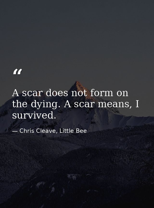 A scar does not form on the dying. A scar means, I survived. — Chris Cleave, Little Bee