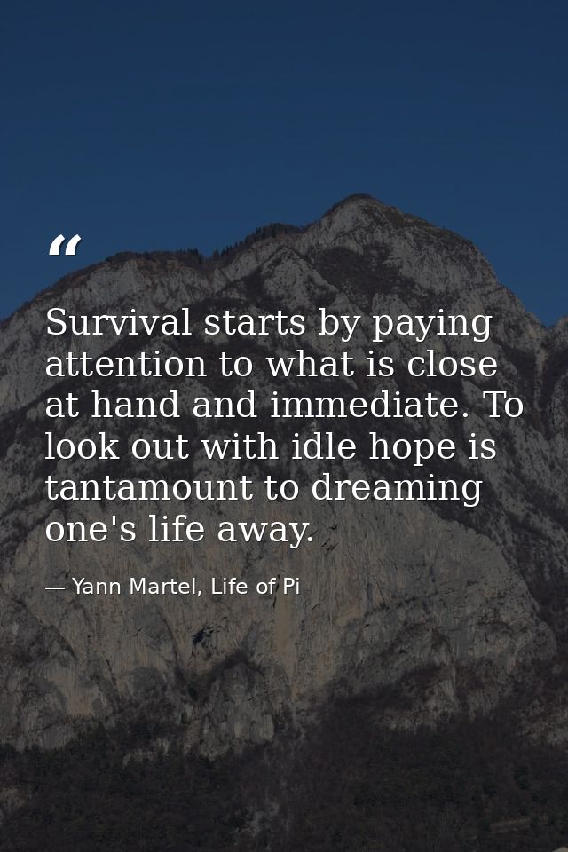 Survival starts by paying attention to what is close at hand and immediate. To look out with idle hope is tantamount to  — Yann Martel, Life of Pi