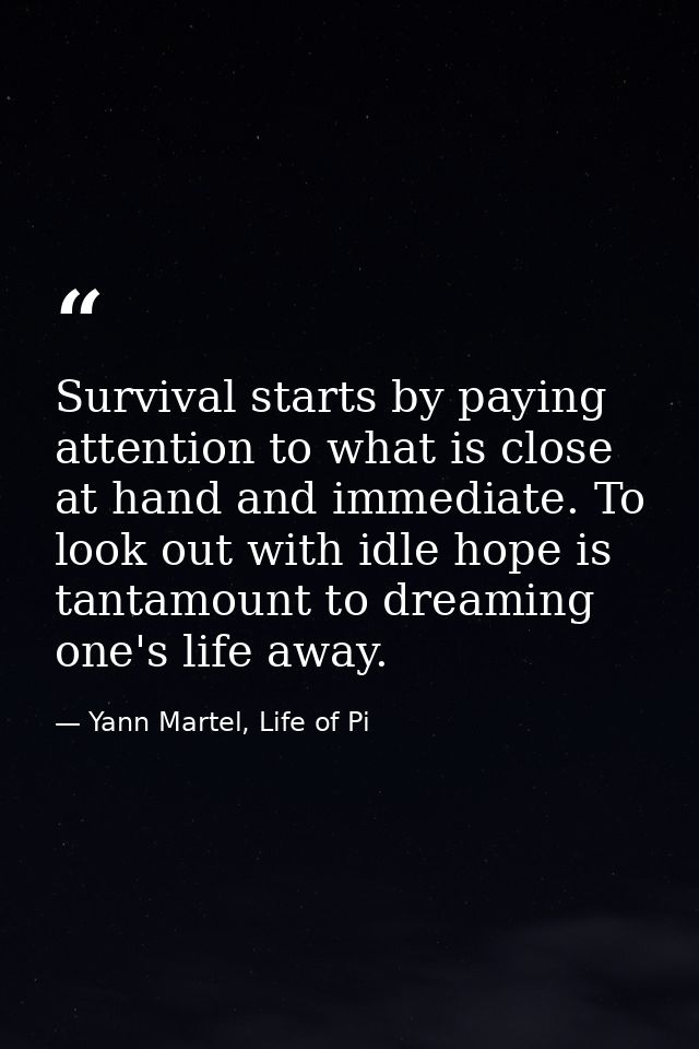 Survival starts by paying attention to what is close at hand and immediate. To look out with idle hope is tantamount to  — Yann Martel, Life of Pi