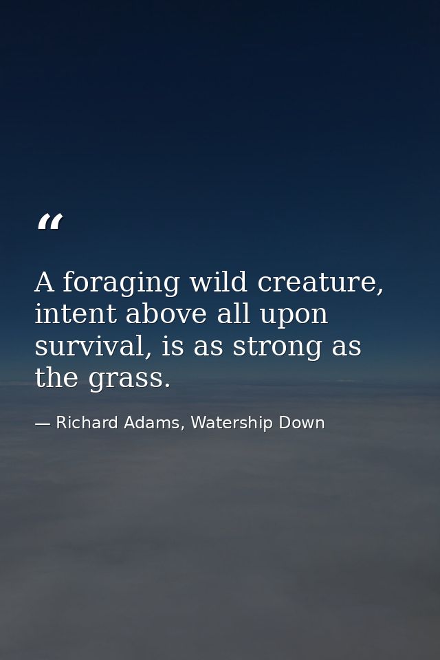 A foraging wild creature, intent above all upon survival, is as strong as the grass. — Richard Adams, Watership Down