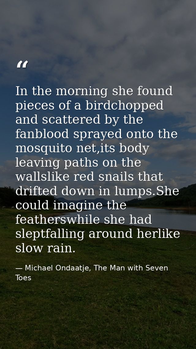 In the morning she found pieces of a birdchopped and scattered by the fanblood sprayed onto the mosquito net,its body le — Michael Ondaatje, The Man with Seven Toes