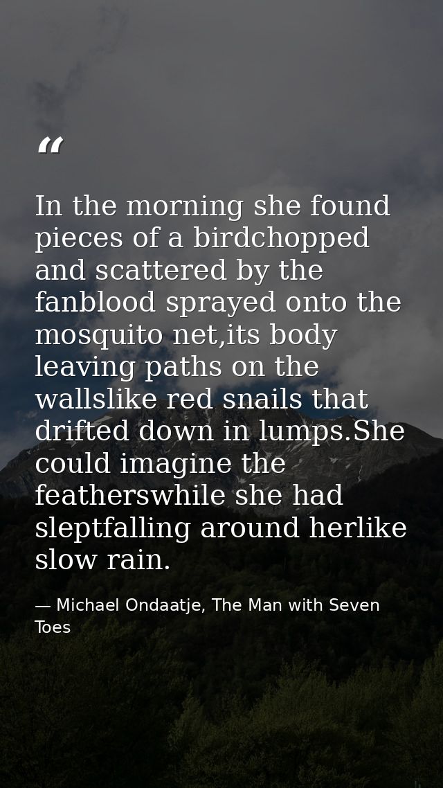 In the morning she found pieces of a birdchopped and scattered by the fanblood sprayed onto the mosquito net,its body le — Michael Ondaatje, The Man with Seven Toes