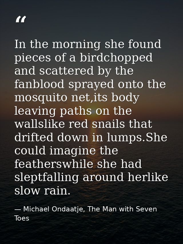In the morning she found pieces of a birdchopped and scattered by the fanblood sprayed onto the mosquito net,its body le — Michael Ondaatje, The Man with Seven Toes