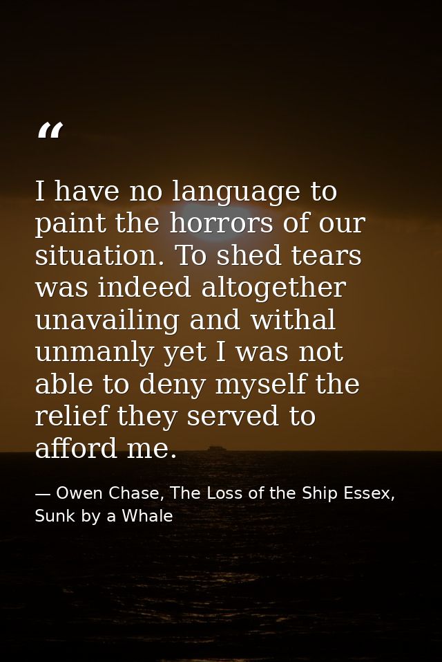 I have no language to paint the horrors of our situation. To shed tears was indeed altogether unavailing and withal unma — Owen Chase, The Loss of the Ship Essex, Sunk by a Whale