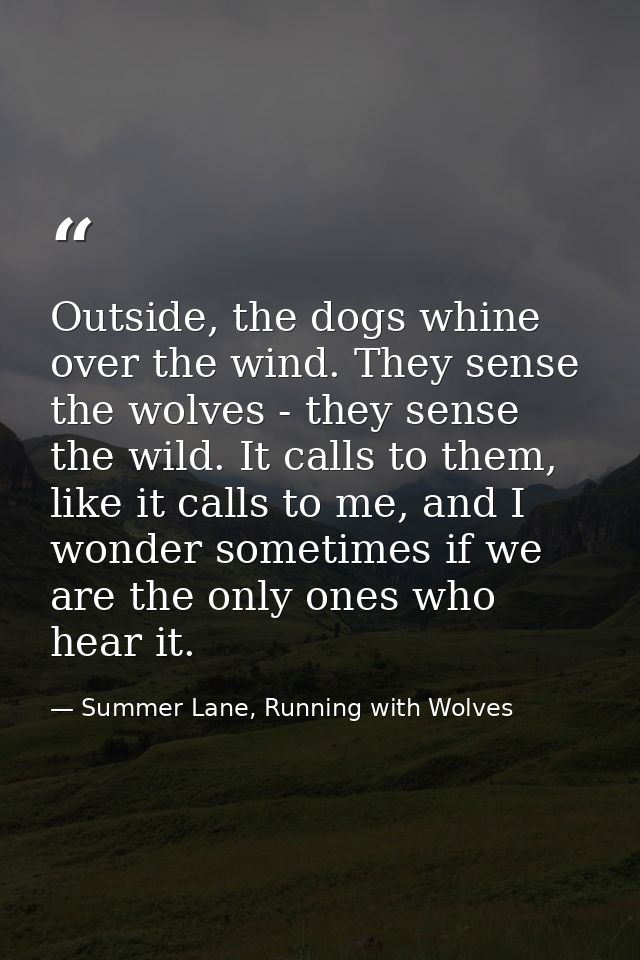 Outside, the dogs whine over the wind. They sense the wolves - they sense the wild. It calls to them, like it calls to m — Summer Lane, Running with Wolves