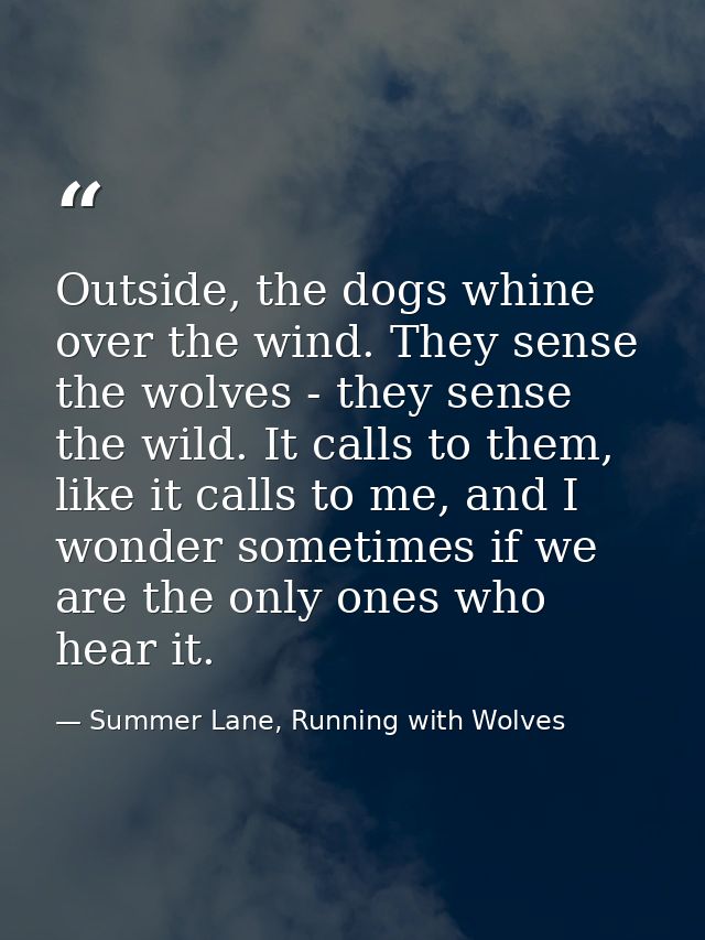 Outside, the dogs whine over the wind. They sense the wolves - they sense the wild. It calls to them, like it calls to m — Summer Lane, Running with Wolves