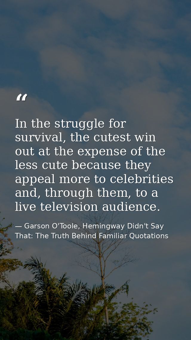 In the struggle for survival, the cutest win out at the expense of the less cute because they appeal more to celebrities — Garson O'Toole, Hemingway Didn't Say That: The Truth Behind Familiar Quotations