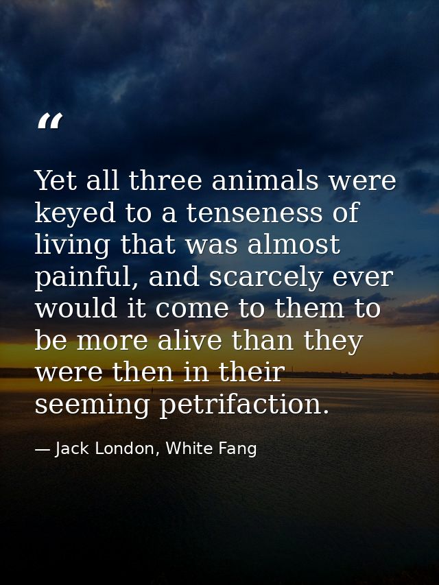 Yet all three animals were keyed to a tenseness of living that was almost painful, and scarcely ever would it come to th — Jack London, White Fang