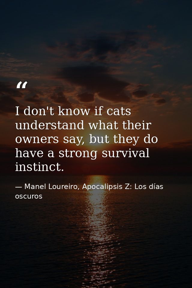 I don't know if cats understand what their owners say, but they do have a strong survival instinct. — Manel Loureiro, Apocalipsis Z: Los días oscuros