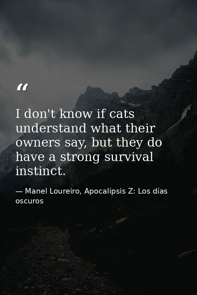 I don't know if cats understand what their owners say, but they do have a strong survival instinct. — Manel Loureiro, Apocalipsis Z: Los días oscuros