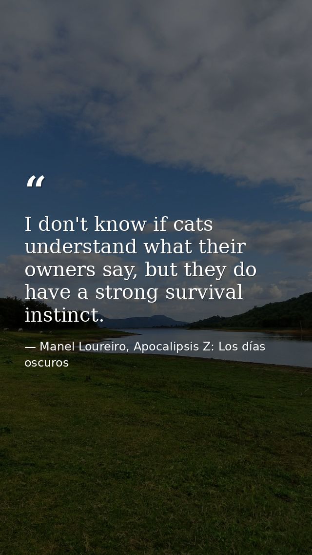 I don't know if cats understand what their owners say, but they do have a strong survival instinct. — Manel Loureiro, Apocalipsis Z: Los días oscuros