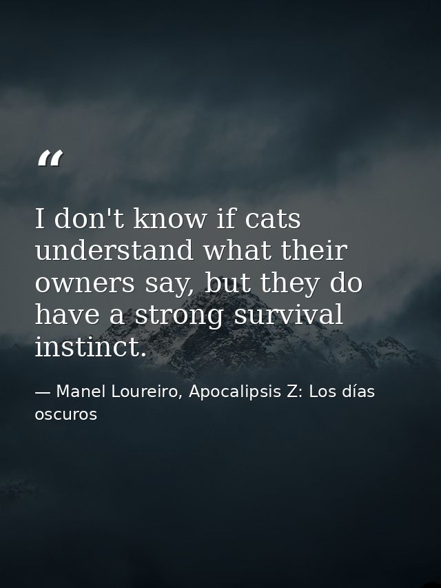 I don't know if cats understand what their owners say, but they do have a strong survival instinct. — Manel Loureiro, Apocalipsis Z: Los días oscuros