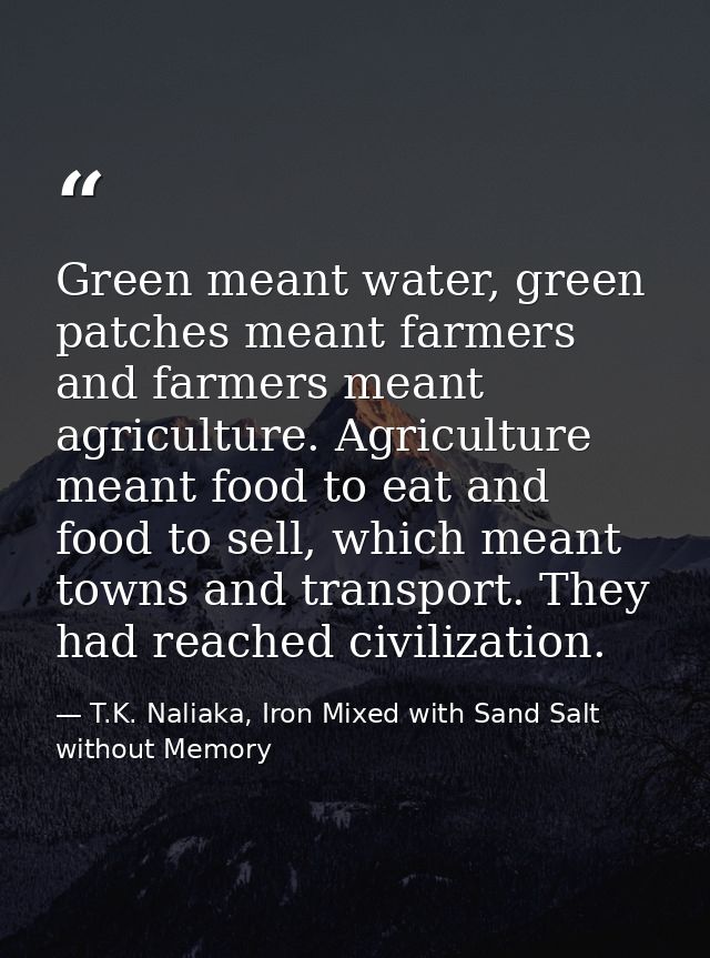 Green meant water, green patches meant farmers and farmers meant agriculture. Agriculture meant food to eat and food to  — T.K. Naliaka, Iron Mixed with Sand Salt without Memory