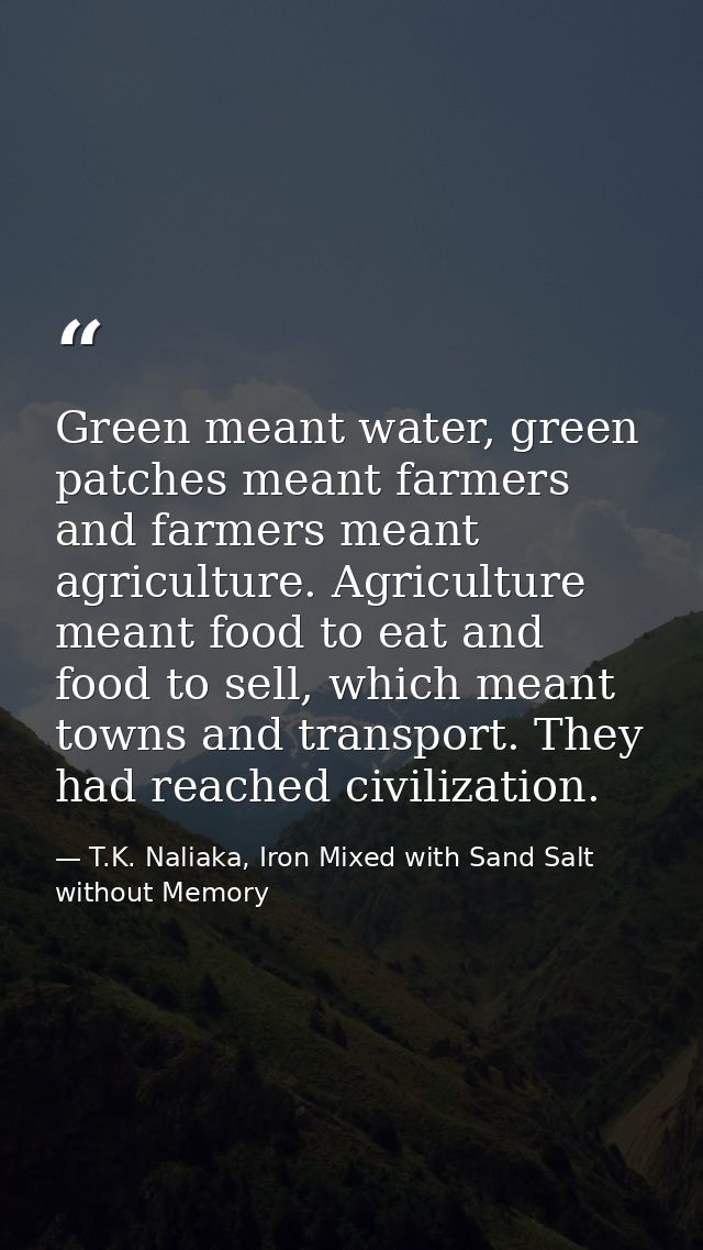 Green meant water, green patches meant farmers and farmers meant agriculture. Agriculture meant food to eat and food to  — T.K. Naliaka, Iron Mixed with Sand Salt without Memory