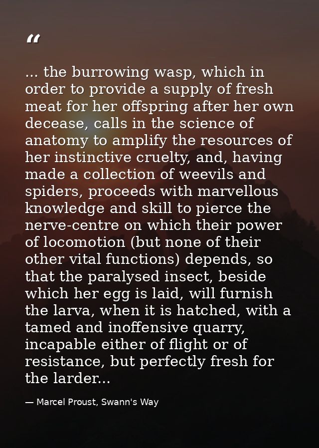 ... the burrowing wasp, which in order to provide a supply of fresh meat for her offspring after her own decease, calls  — Marcel Proust, Swann's Way