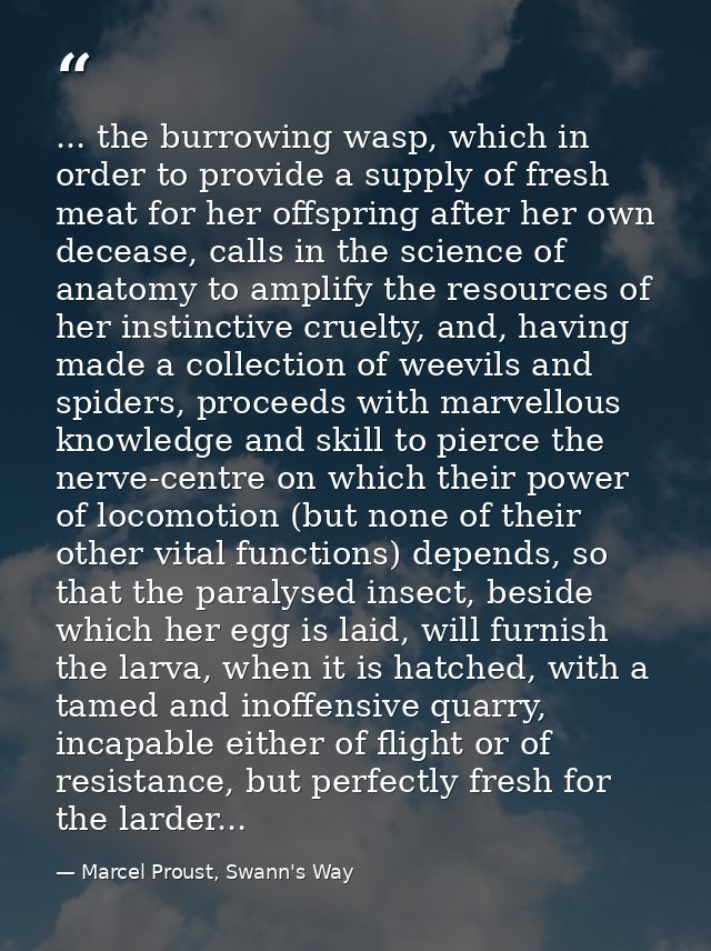 ... the burrowing wasp, which in order to provide a supply of fresh meat for her offspring after her own decease, calls  — Marcel Proust, Swann's Way