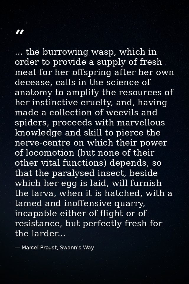 ... the burrowing wasp, which in order to provide a supply of fresh meat for her offspring after her own decease, calls  — Marcel Proust, Swann's Way