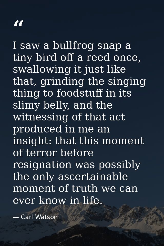 I saw a bullfrog snap a tiny bird off a reed once, swallowing it just like that, grinding the singing thing to foodstuff — Carl Watson