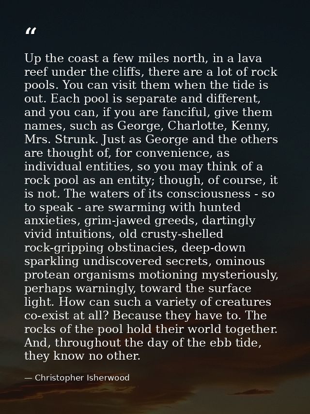 Up the coast a few miles north, in a lava reef under the cliffs, there are a lot of rock pools. You can visit them when  — Christopher Isherwood