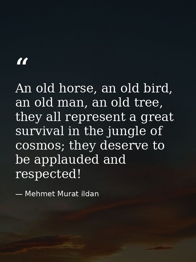 An old horse, an old bird, an old man, an old tree, they all represent a great survival in the jungle of cosmos; they de — Mehmet Murat ildan