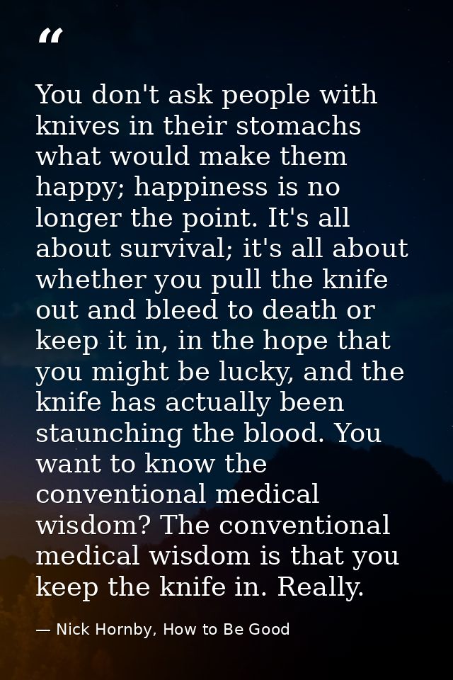 You don't ask people with knives in their stomachs what would make them happy; happiness is no longer the point. It's al — Nick Hornby, How to Be Good