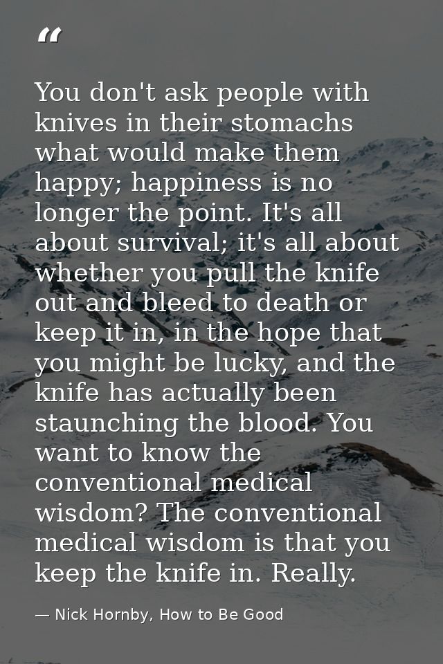 You don't ask people with knives in their stomachs what would make them happy; happiness is no longer the point. It's al — Nick Hornby, How to Be Good