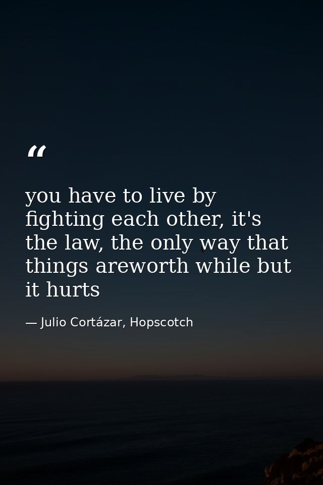 you have to live by fighting each other, it's the law, the only way that things areworth while but it hurts — Julio Cortázar, Hopscotch