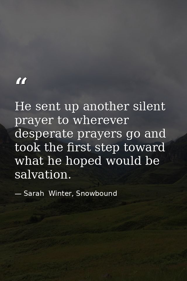 He sent up another silent prayer to wherever desperate prayers go and took the first step toward what he hoped would be  — Sarah  Winter, Snowbound