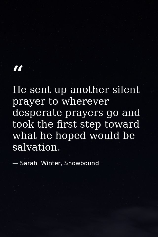 He sent up another silent prayer to wherever desperate prayers go and took the first step toward what he hoped would be  — Sarah  Winter, Snowbound