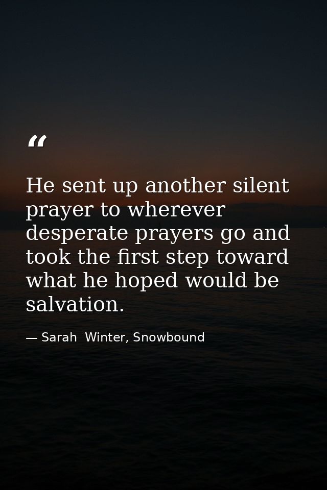 He sent up another silent prayer to wherever desperate prayers go and took the first step toward what he hoped would be  — Sarah  Winter, Snowbound