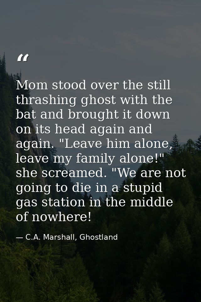 Mom stood over the still thrashing ghost with the bat and brought it down on its head again and again. "Leave him alone, — C.A. Marshall, Ghostland