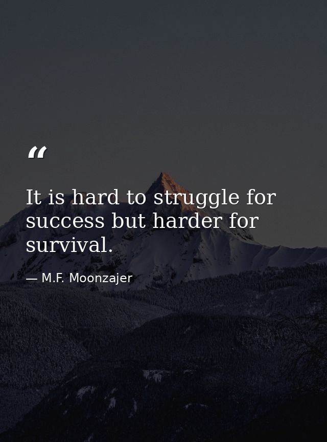 It is hard to struggle for success but harder for survival. — M.F. Moonzajer