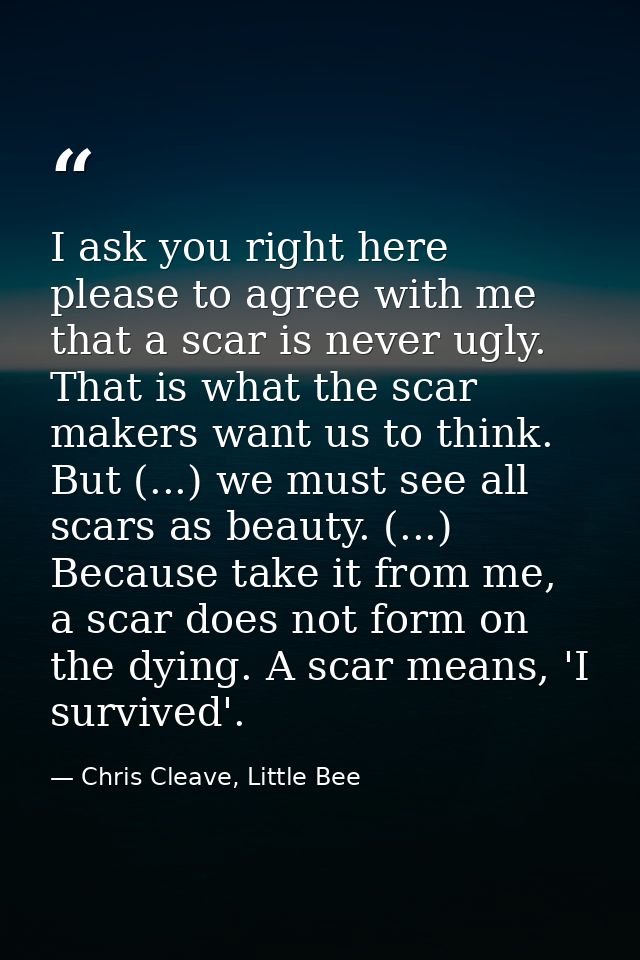 I ask you right here please to agree with me that a scar is never ugly. That is what the scar makers want us to think. B — Chris Cleave, Little Bee