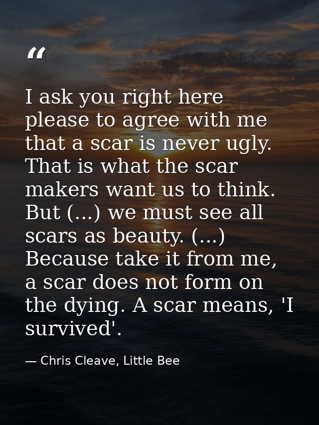 I ask you right here please to agree with me that a scar is never ugly. That is what the scar makers want us to think. B — Chris Cleave, Little Bee