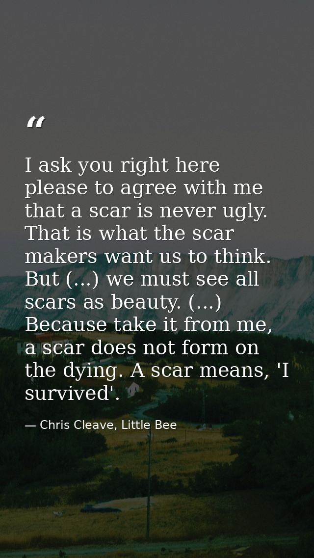 I ask you right here please to agree with me that a scar is never ugly. That is what the scar makers want us to think. B — Chris Cleave, Little Bee