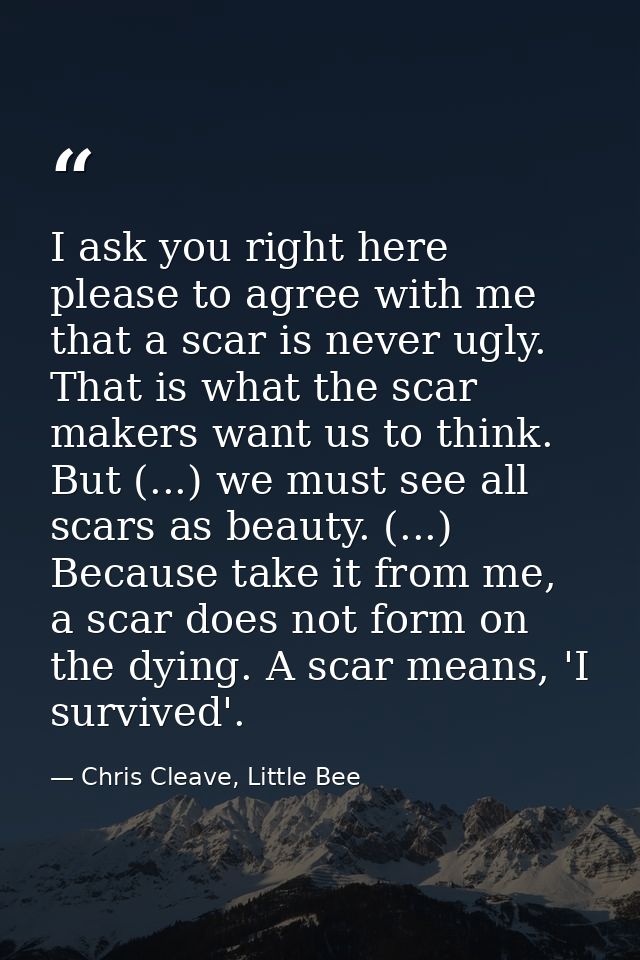 I ask you right here please to agree with me that a scar is never ugly. That is what the scar makers want us to think. B — Chris Cleave, Little Bee