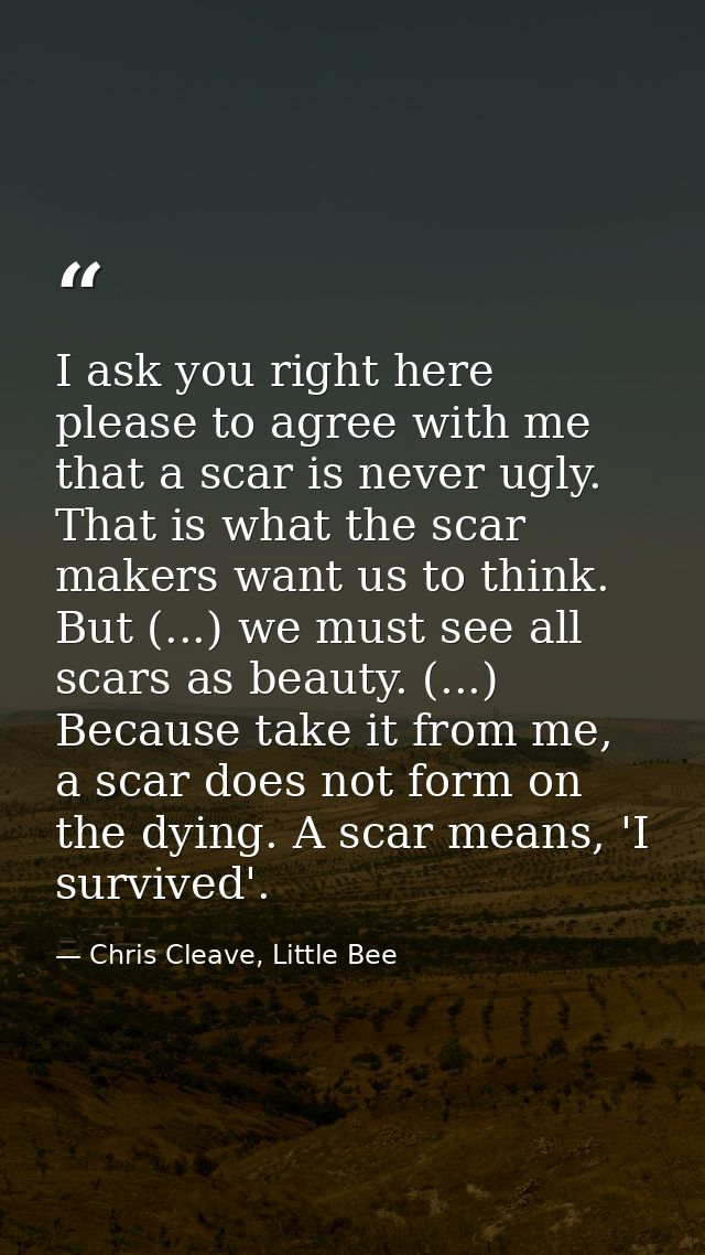 I ask you right here please to agree with me that a scar is never ugly. That is what the scar makers want us to think. B — Chris Cleave, Little Bee