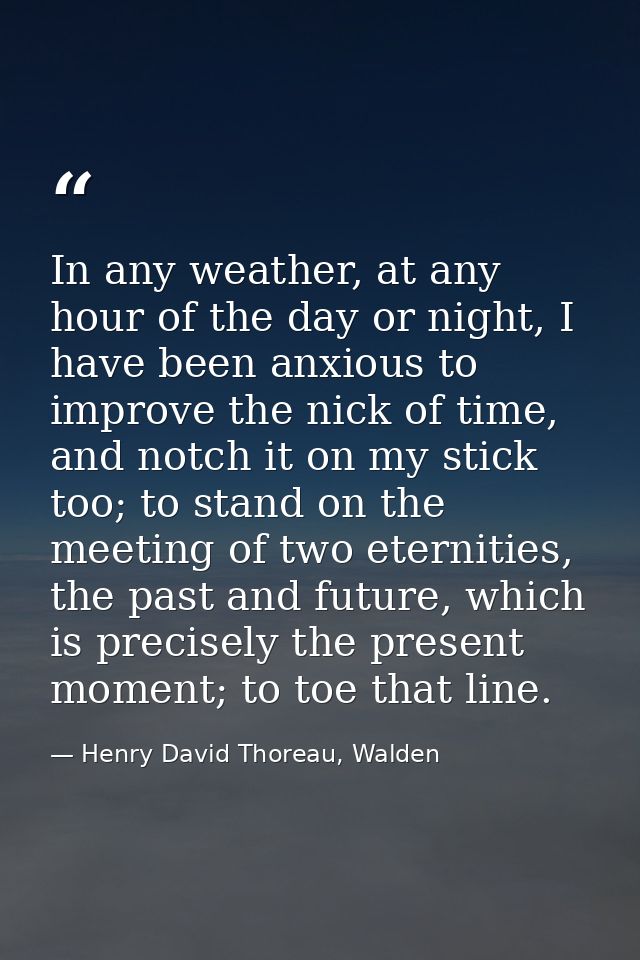 In any weather, at any hour of the day or night, I have been anxious to improve the nick of time, and notch it on my sti — Henry David Thoreau, Walden