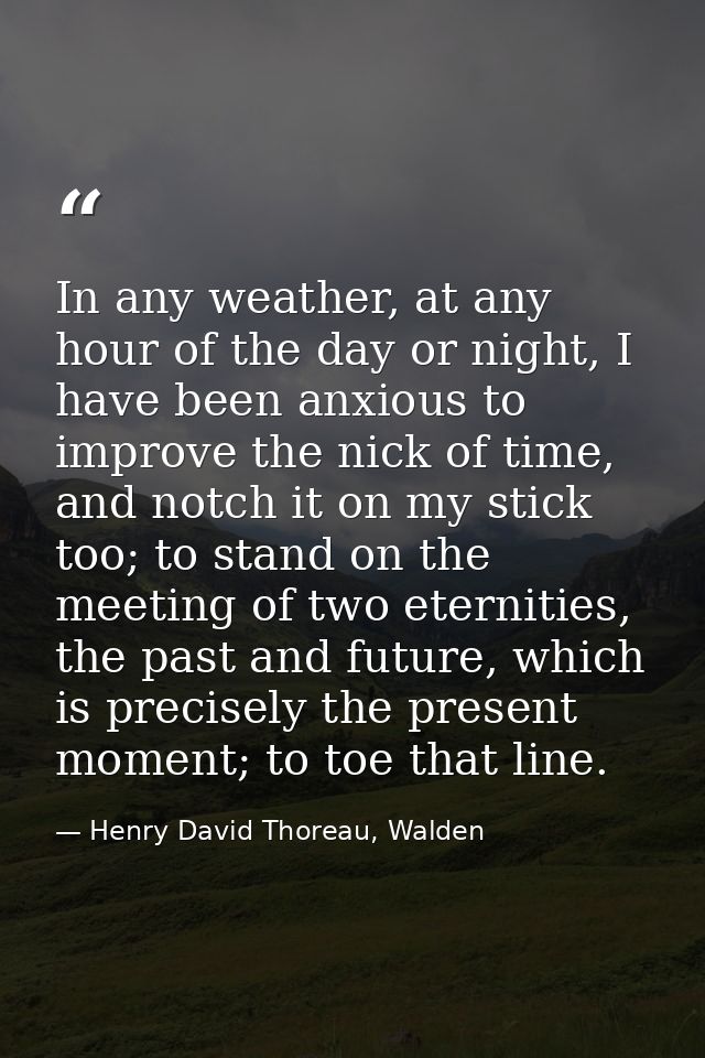In any weather, at any hour of the day or night, I have been anxious to improve the nick of time, and notch it on my sti — Henry David Thoreau, Walden