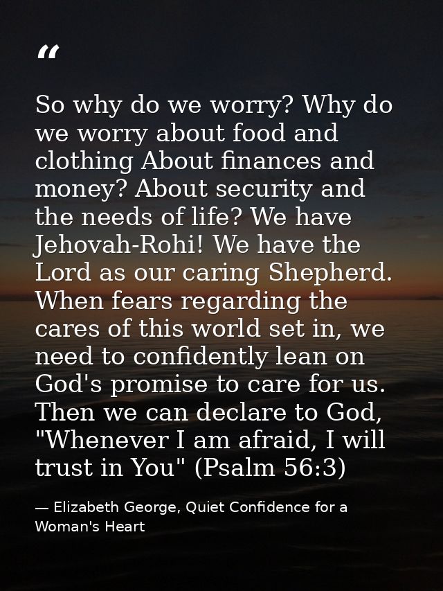 So why do we worry? Why do we worry about food and clothing About finances and money? About security and the needs of li — Elizabeth George, Quiet Confidence for a Woman's Heart