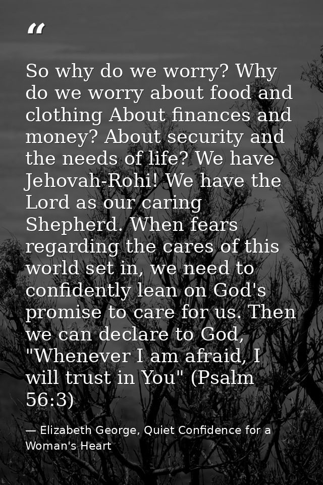 So why do we worry? Why do we worry about food and clothing About finances and money? About security and the needs of li — Elizabeth George, Quiet Confidence for a Woman's Heart