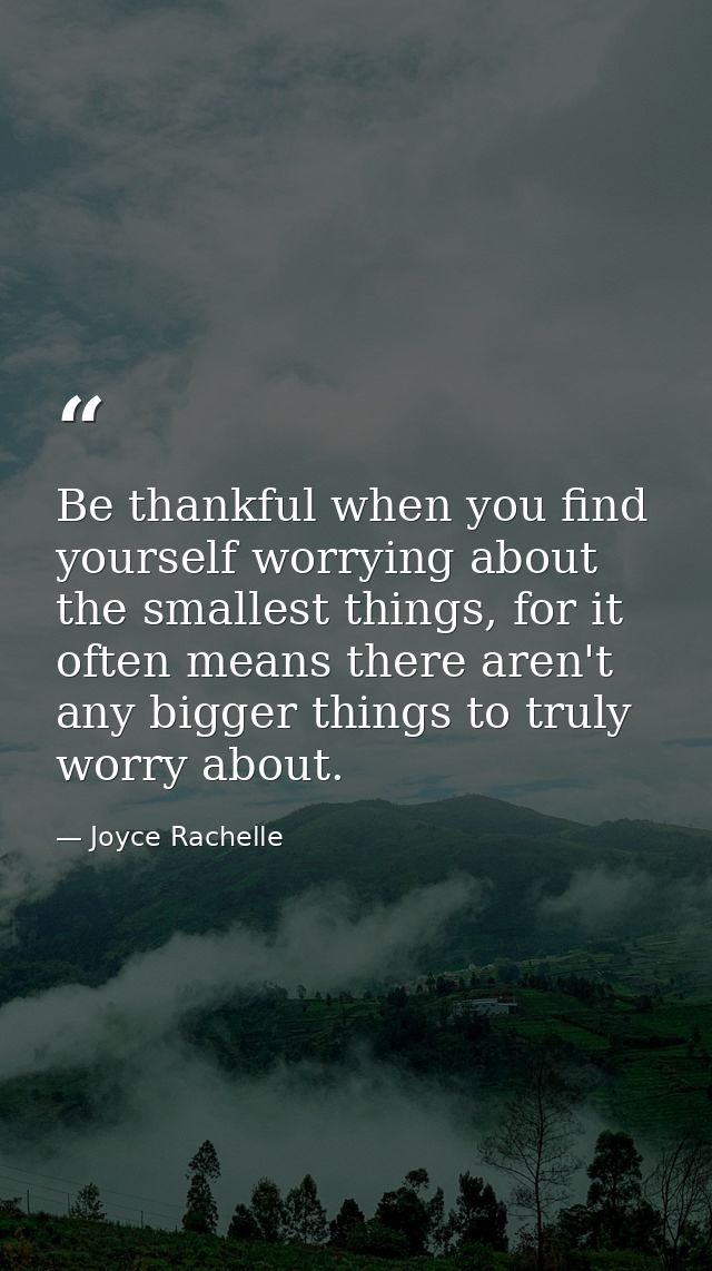 Be thankful when you find yourself worrying about the smallest things, for it often means there aren't any bigger things — Joyce Rachelle