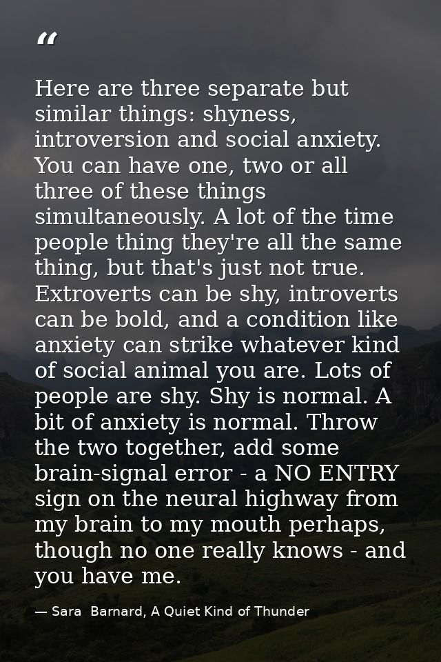 Here are three separate but similar things: shyness, introversion and social anxiety. You can have one, two or all three — Sara  Barnard, A Quiet Kind of Thunder