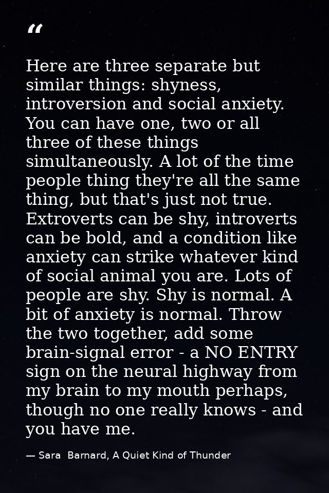 Here are three separate but similar things: shyness, introversion and social anxiety. You can have one, two or all three — Sara  Barnard, A Quiet Kind of Thunder