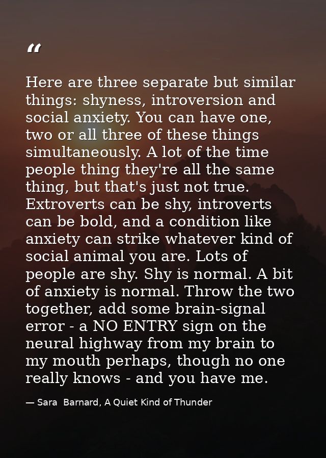 Here are three separate but similar things: shyness, introversion and social anxiety. You can have one, two or all three — Sara  Barnard, A Quiet Kind of Thunder