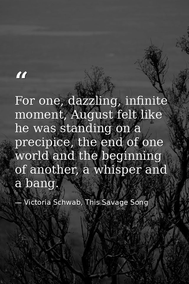 For one, dazzling, infinite moment, August felt like he was standing on a precipice, the end of one world and the beginn — Victoria Schwab, This Savage Song