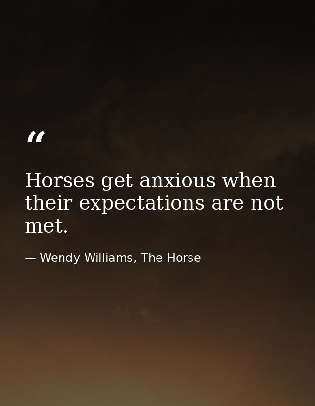 Horses get anxious when their expectations are not met. — Wendy Williams, The Horse