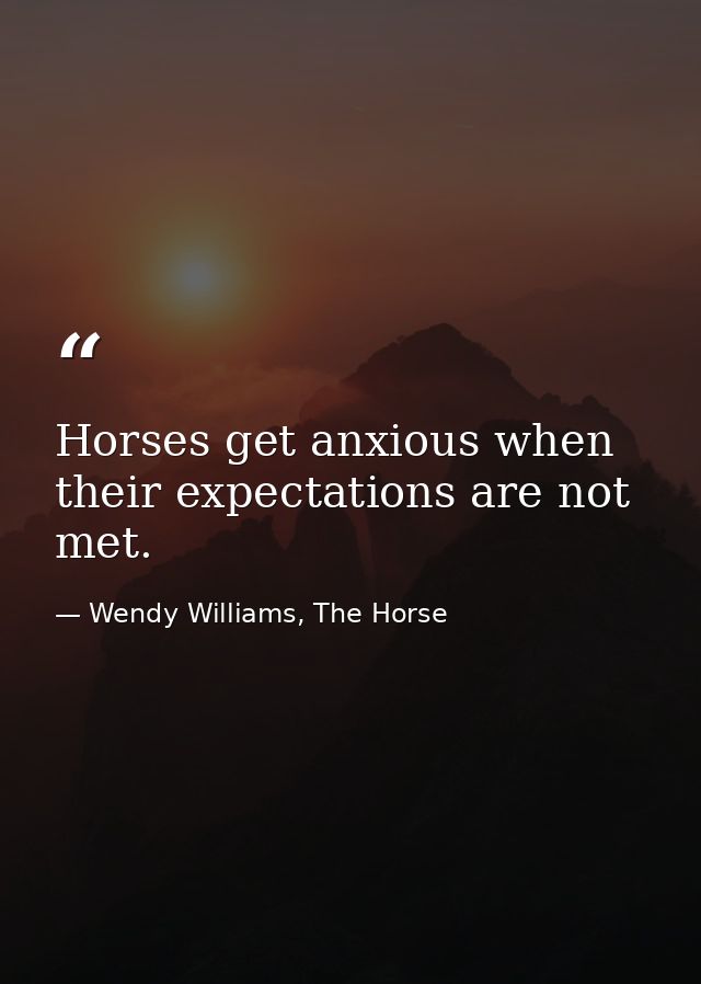 Horses get anxious when their expectations are not met. — Wendy Williams, The Horse